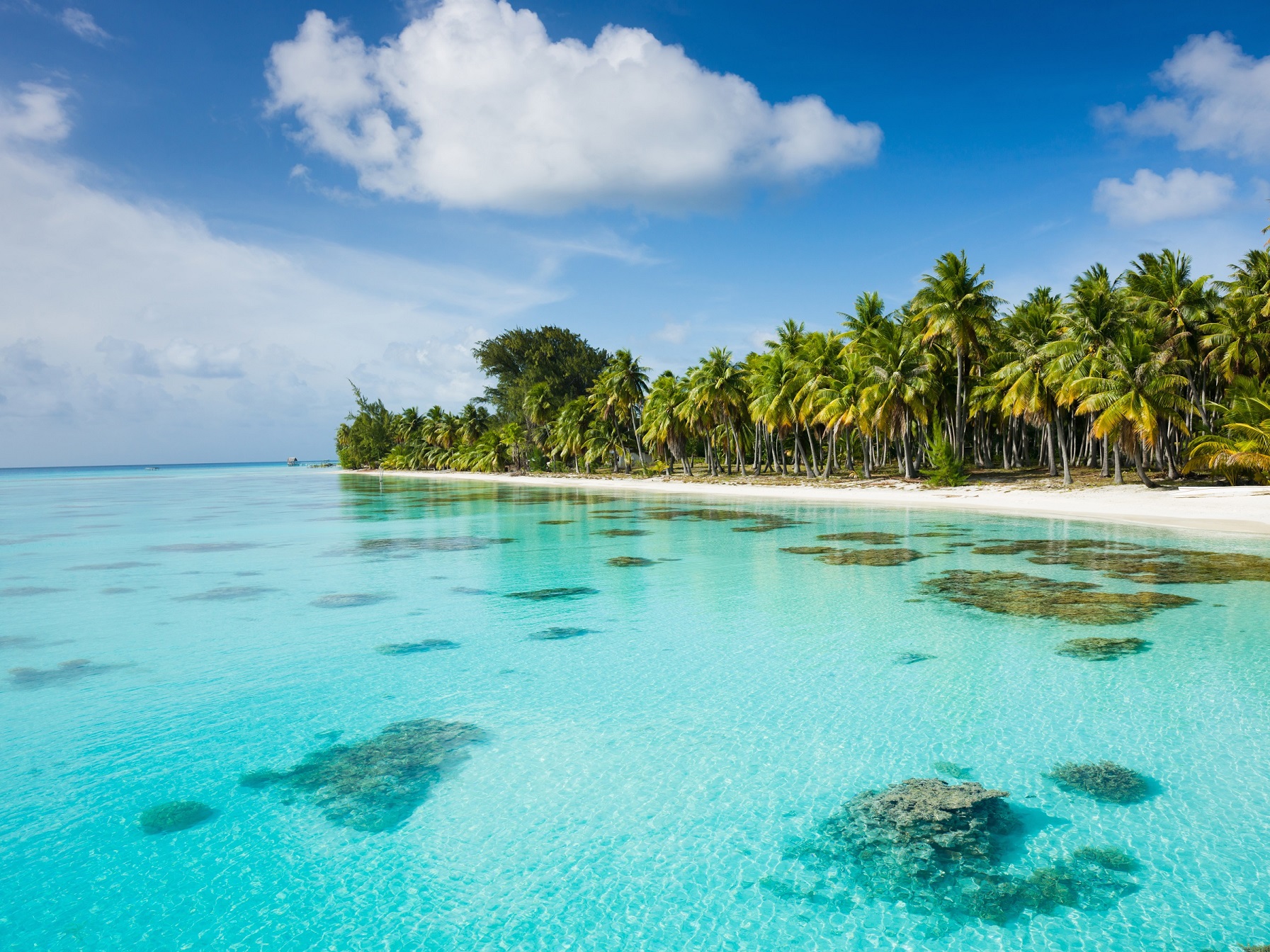 Moorea - Society Island